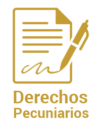 Derechos pucunarios